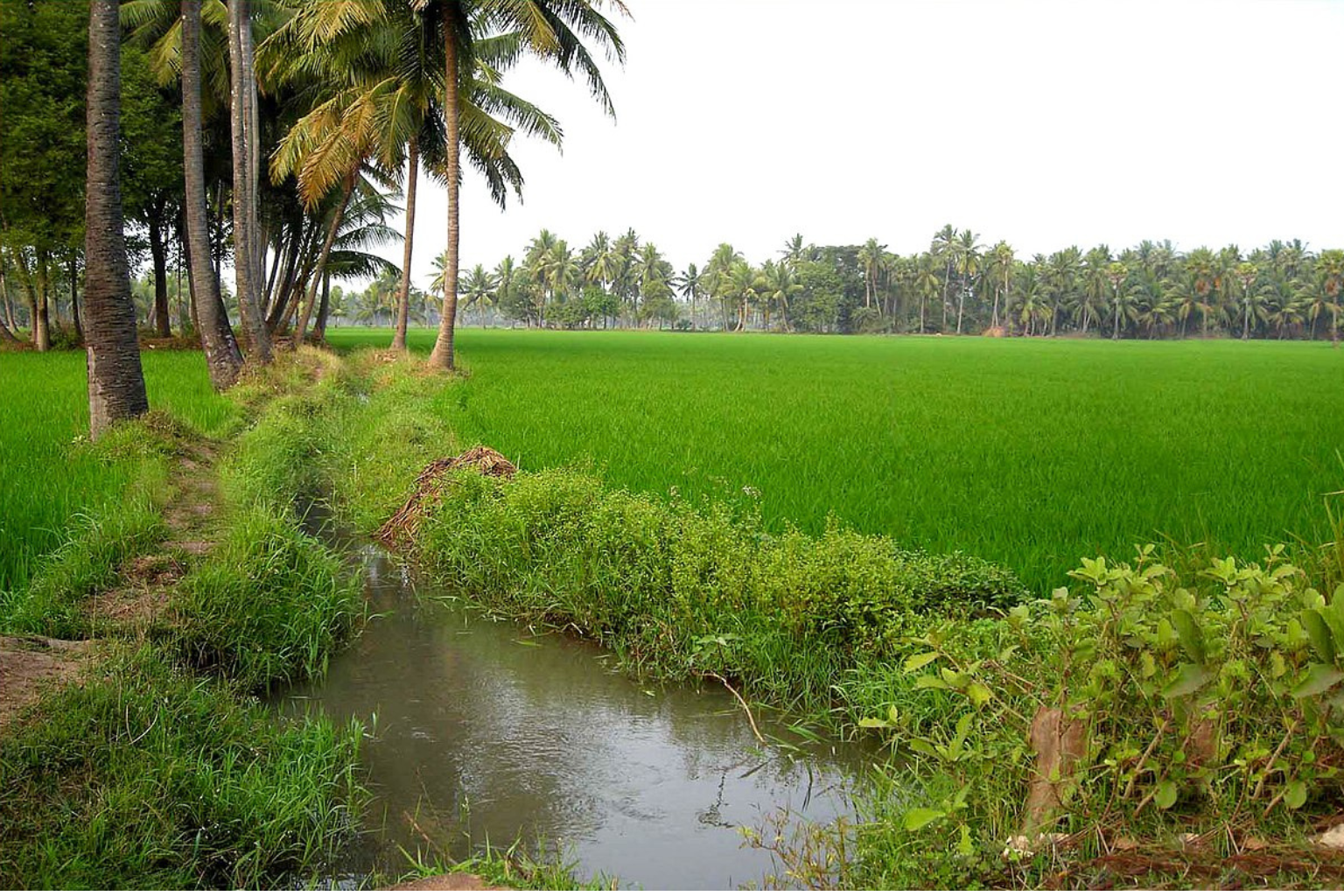 CCTV camera on rent in West Godavari