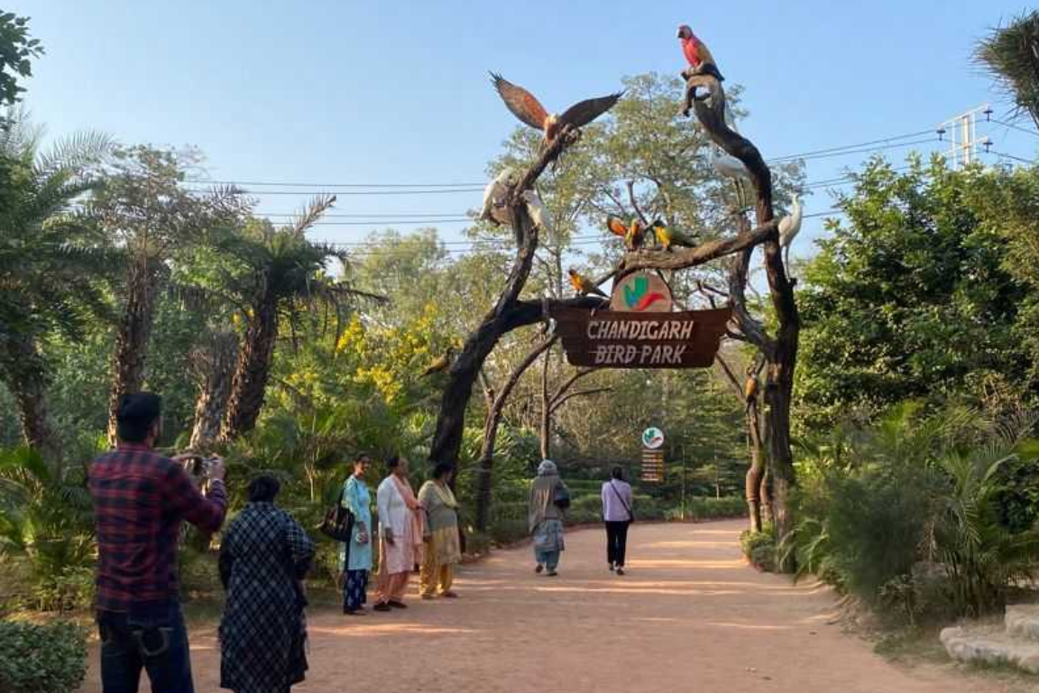 Untitled design - 2025-09-01T160410.246