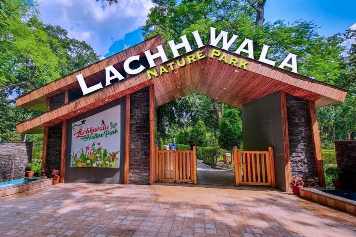 Untitled design - 2025-09-01T162905.617