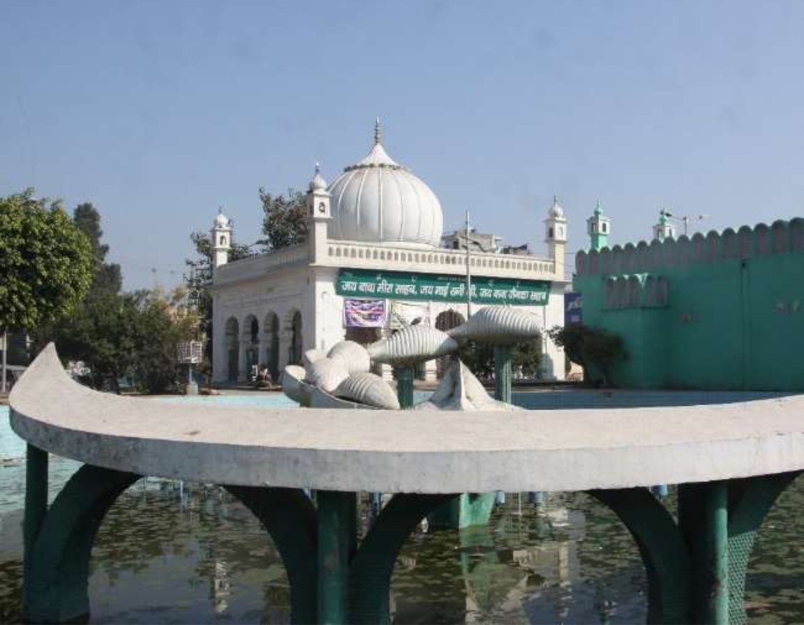 Untitled design - 2025-09-02T121225.650