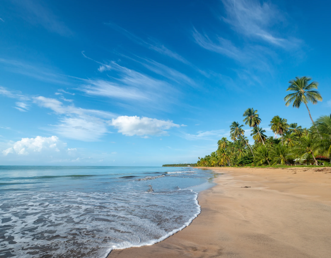 Untitled design - 2025-09-02T144749.734