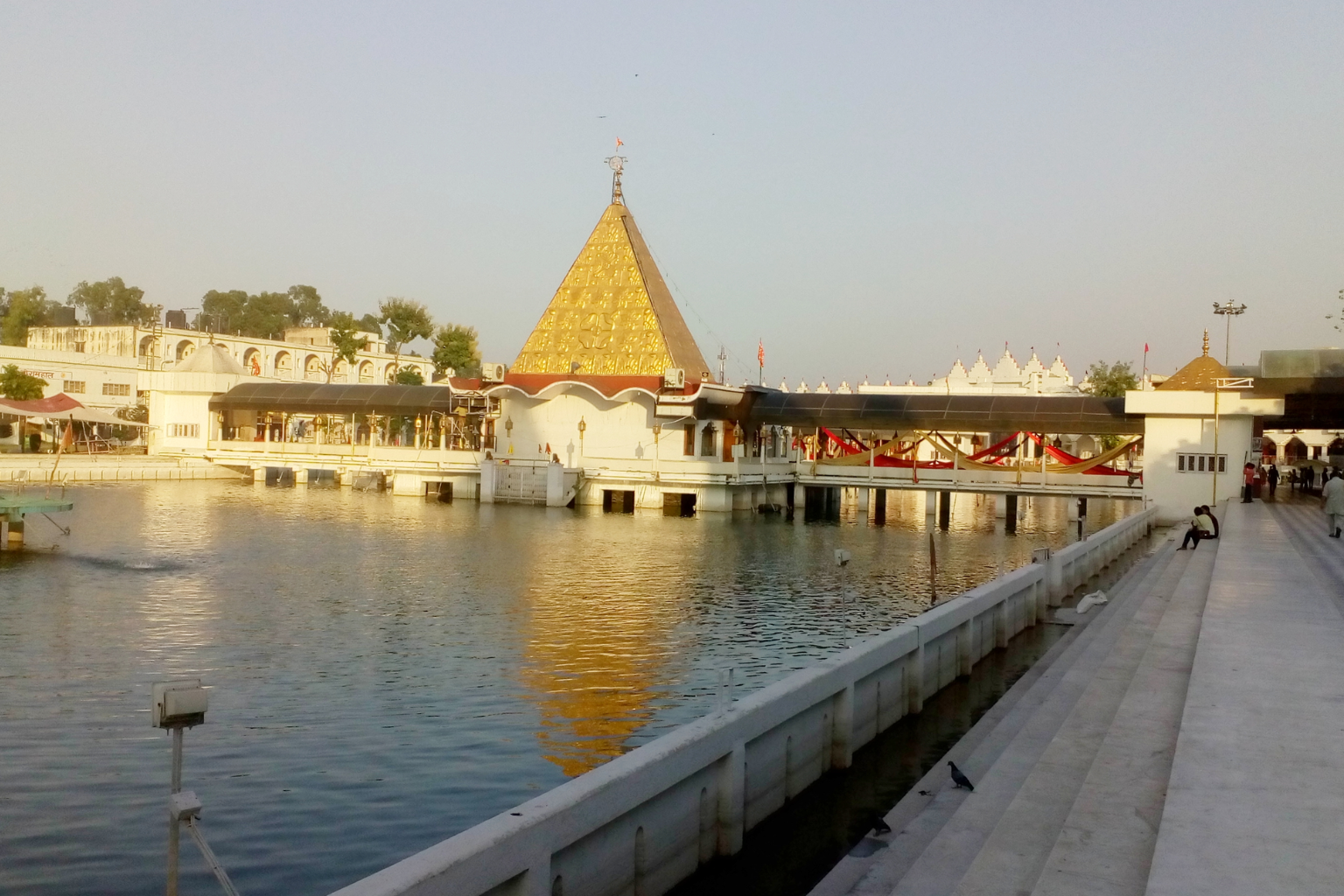 Untitled design - 2025-09-17T110223.146