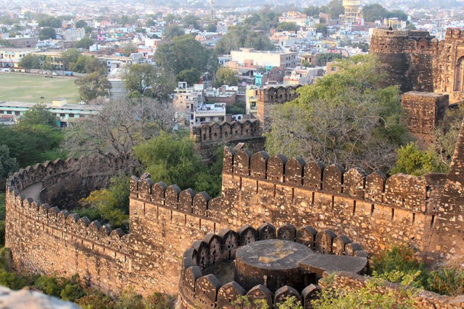 Untitled design - 2025-09-17T125302.223