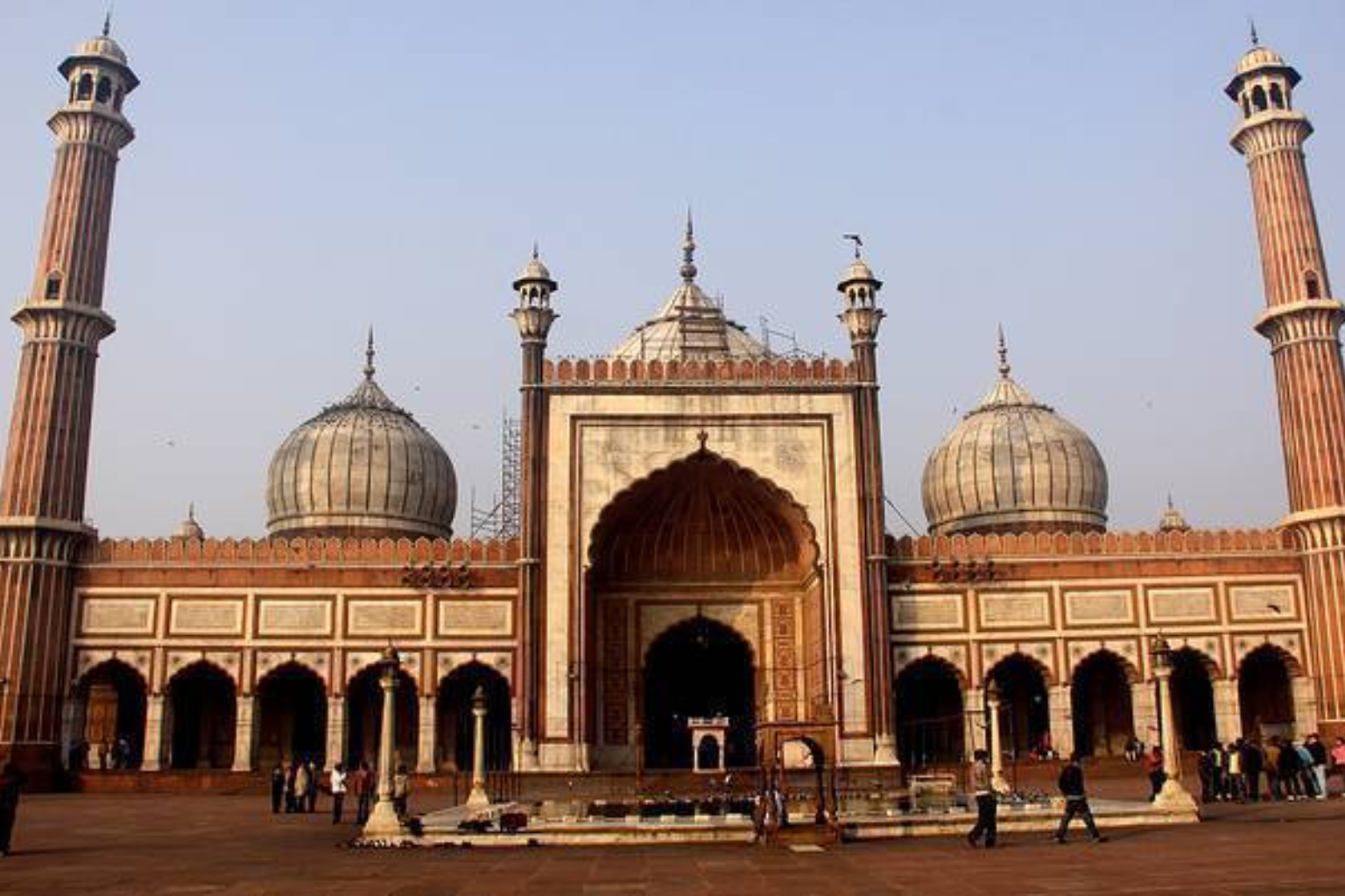 Untitled design - 2025-09-20T115934.333