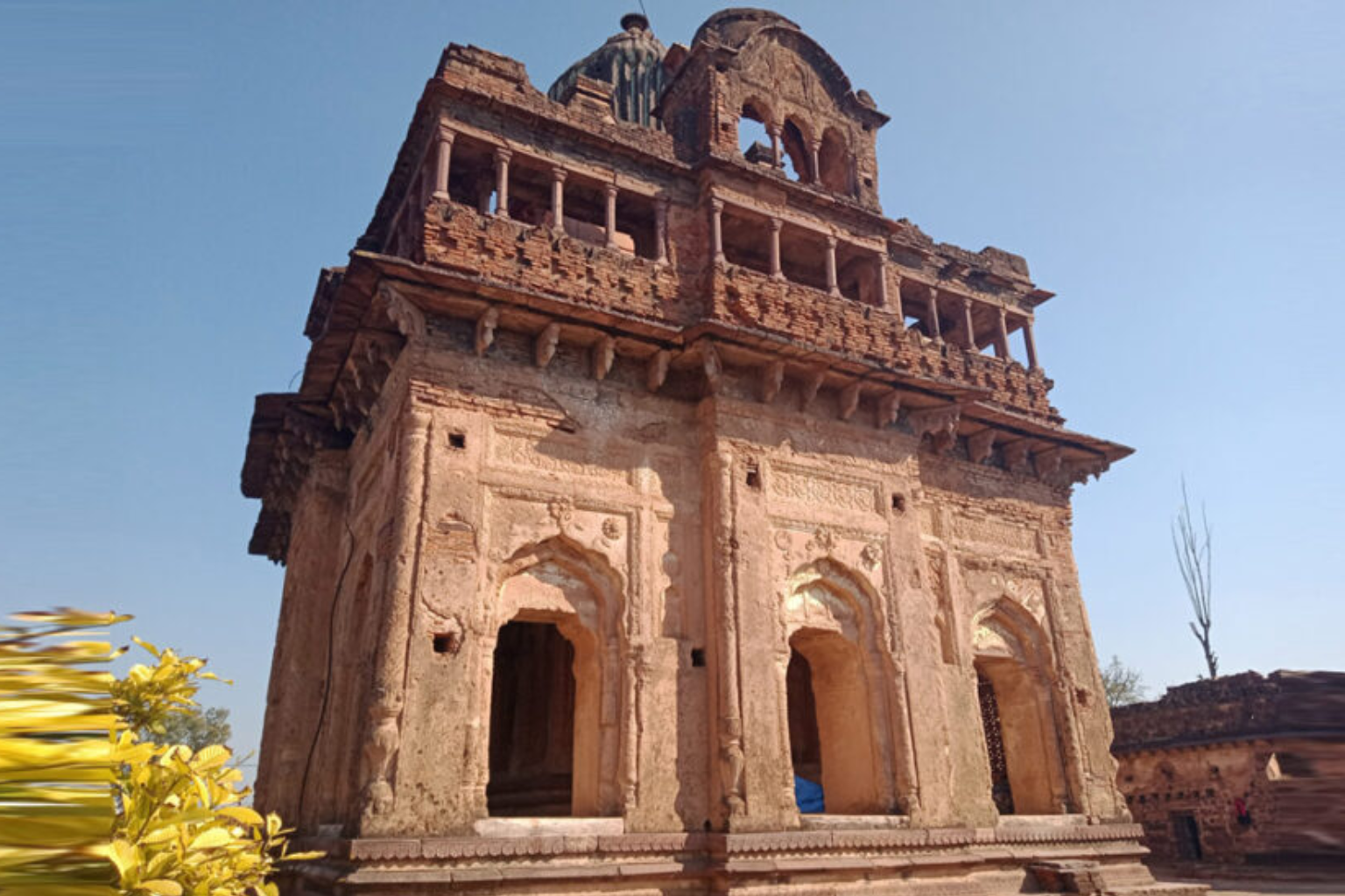 Untitled design - 2025-09-22T112047.901