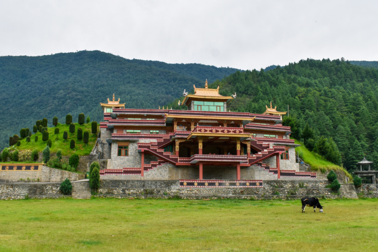 Untitled design - 2025-09-22T165250.432