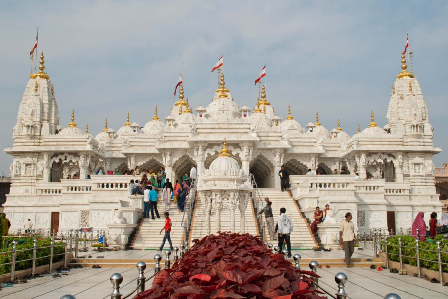 Untitled design - 2025-09-22T172525.617